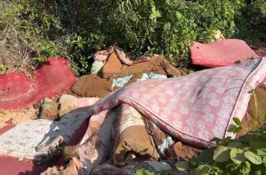  മാലിന്യങ്ങൾ സ്വകാര്യ വ്യക്തിയുടെ സ്ഥലത്ത് തള്ളിയതിന് 3 കേസുകളിലായി 5000 രൂപ വീതം പിഴ ചുമത്തി