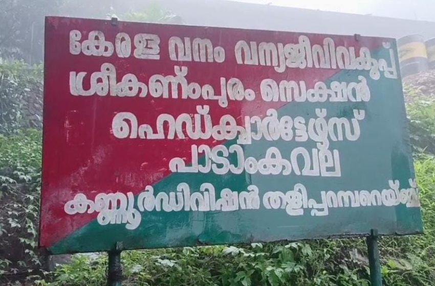  മലയോരത്തെ കാട്ടാനശല്യത്തിന് ശാശ്വതപരിഹാരം കാണണമെന്ന് പയ്യാവൂർ ഗ്രാമ പഞ്ചായത്തംഗം ജിത്തുതോമസ്