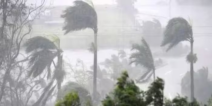  വടക്കൻ കേരളത്തിൽ അതിശക്തമായ മഴ; കണ്ണൂരിൽ മരങ്ങൾ വീണ് വീടുകൾക്ക് നാശനഷ്ടമുണ്ടായി