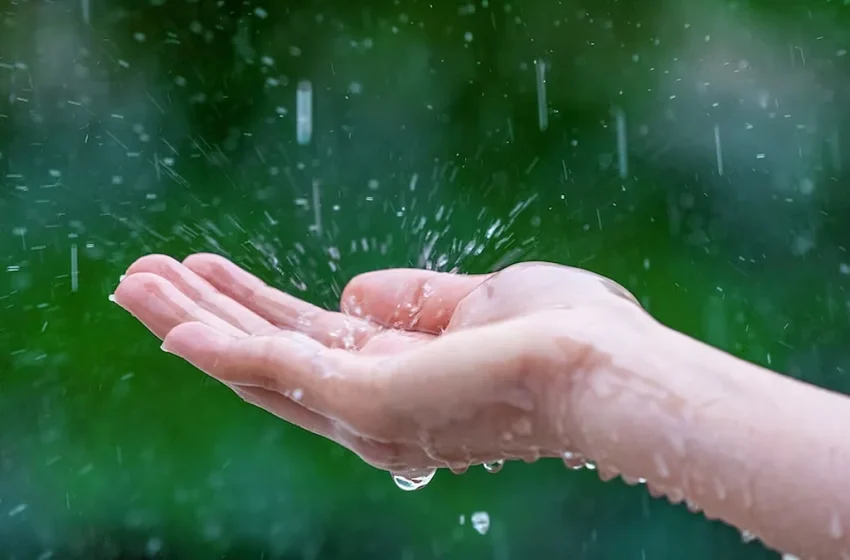  സംസ്ഥാനത്ത് അഞ്ചുദിവസത്തിനുള്ളിൽ കാലവർഷമെത്തുമെന്ന് കേന്ദ്ര കാലാവസ്ഥാ വകുപ്പ്