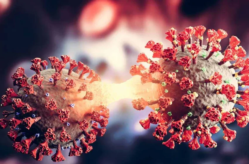  ഒരാഴ്ചയ്ക്കിടെ രണ്ട് കോവിഡ് മരണം; സംസ്ഥാനത്ത് കോവിഡ് ബാധിതരുടെ എണ്ണം 430-ല്‍ എത്തി