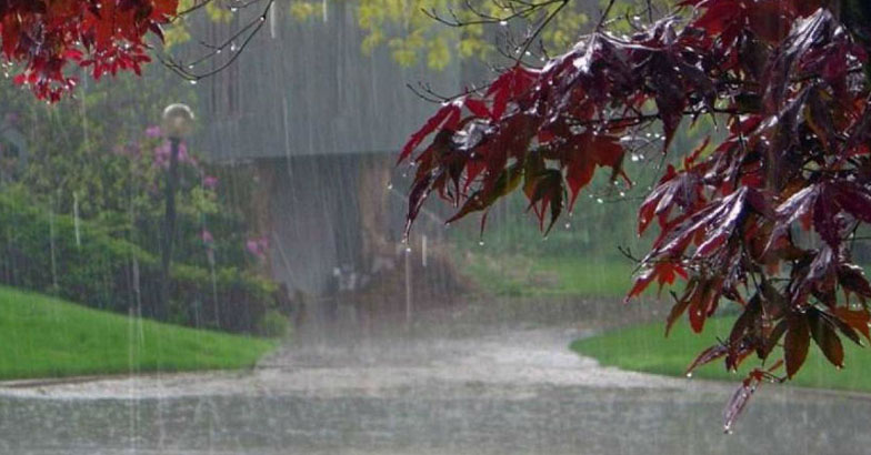 സംസ്ഥാനത്ത് ഇന്നും വ്യാപക മഴയ്ക്ക് സാധ്യത; നാല് ജില്ലകളില്‍ റെഡ് അലേര്‍ട്ട്