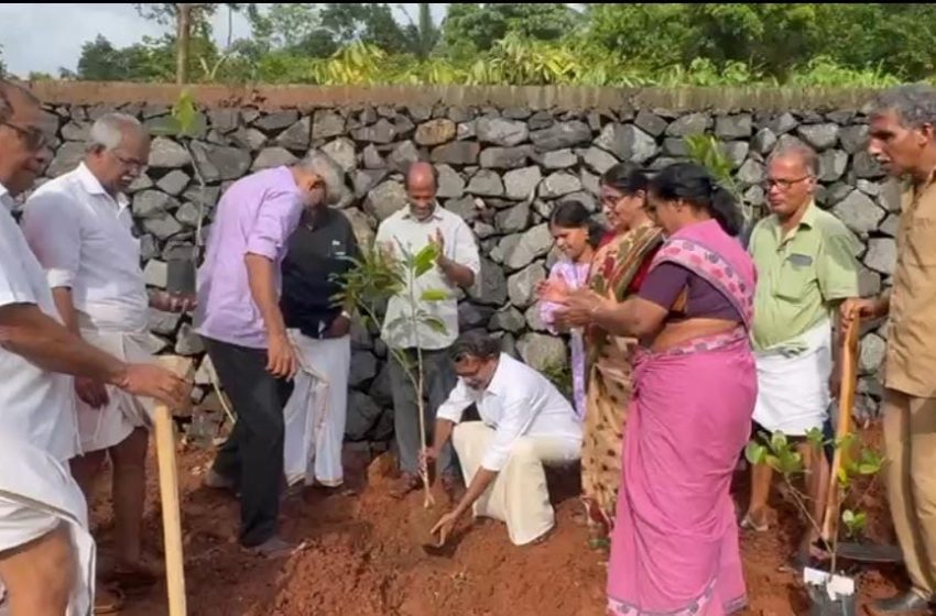  ആന്തൂർ നഗരസഭ ചെയർമാനടക്കമുള്ള 28 കൗൺസിലർമാർ കടമ്പേരിയിലുള്ള വിൻറോകമ്പോസ്റ്റ് യൂനിറ്റ് പരിസരത്ത് ഓർമ്മ വൃക്ഷം നട്ടു