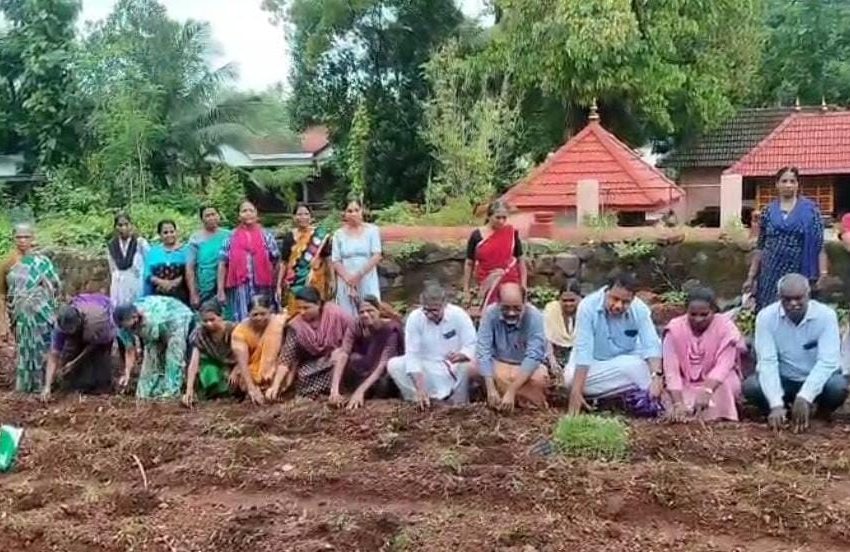  നാറാത്ത് ഗ്രാമപഞ്ചായത്ത് ജനകീയസൂത്രണ പദ്ധതി പ്രകാരമുള്ള പുഷപകൃഷിയുടെ പഞ്ചായത്ത് തല നടീൽ ഉല്ഘാടനം നടന്നു