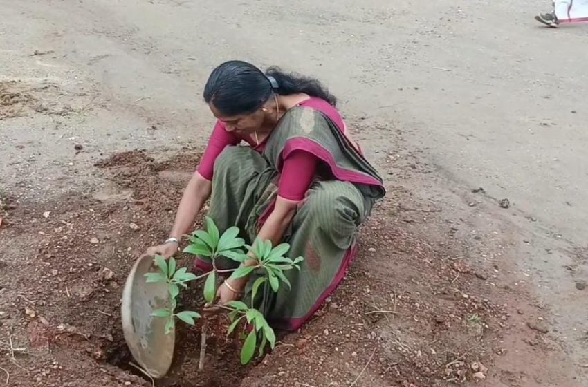  വൃക്ഷവൽക്കരണ പരിപാടിയുടെ ഭാഗമായി  ജില്ലാ പഞ്ചായത്തിലെ 35  അംഗങ്ങൾ  ഓർമ്മമരം നട്ടു