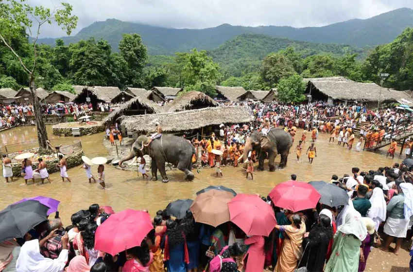  വൈശാഖ മഹോത്സവത്തിലെ പ്രധാന ചടങ്ങുകളിലൊന്നായ ഇളനീർ വെപ്പ് ഇന്ന് അക്കരെ കൊട്ടിയൂരിൽ നടക്കും