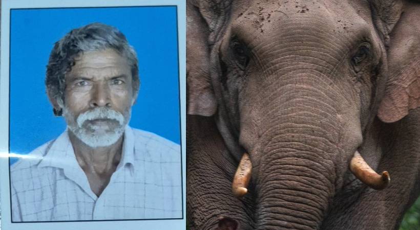  പാലക്കാട് മുണ്ടൂരിൽ കാട്ടാന ആക്രമണം; ഒരു മരണം, കാട്ടാന പ്രദേശത്ത് തന്നെ തുടരുന്നുവെന്ന് നാട്ടുകാർ