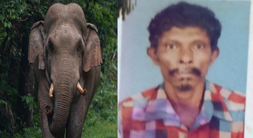  മലപ്പുറം നിലമ്പൂരിൽ കാട്ടാന ആക്രമണത്തിൽ ആദിവാസി യുവാവ് കൊല്ലപ്പെട്ടു