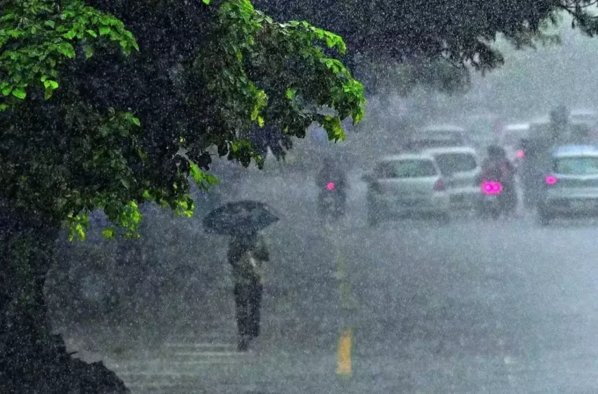  കേരളത്തിൽ ഇന്നുമുതൽ 5 ദിവസം കനത്ത മഴയ്ക്കു സാധ്യത; കണ്ണൂർ, കാസർകോട് ജില്ലകളിൽ യെലോ അലർട്ട് പ്രഖ്യാപിച്ചു