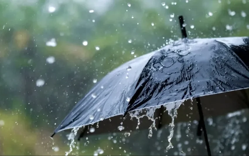  സംസ്ഥാനത്ത് വീണ്ടും ശക്തമായ മഴ വരുന്നു; ജൂലൈ 12 മുതൽ വീണ്ടും വിവിധ ജില്ലകളിൽ ശക്തമായ മഴയ്ക്ക് സാധ്യത
