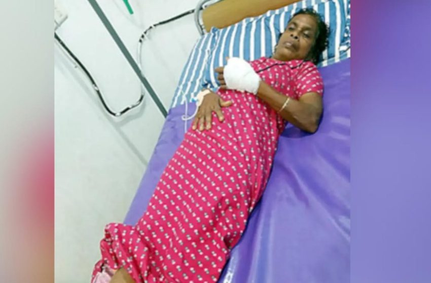  ആലക്കോട്  കാട്ടുപന്നിയുടെ ആക്രമണത്തിൽ വീട്ടമ്മയ്‌ക്ക് ഗുരുതര പരിക്ക്