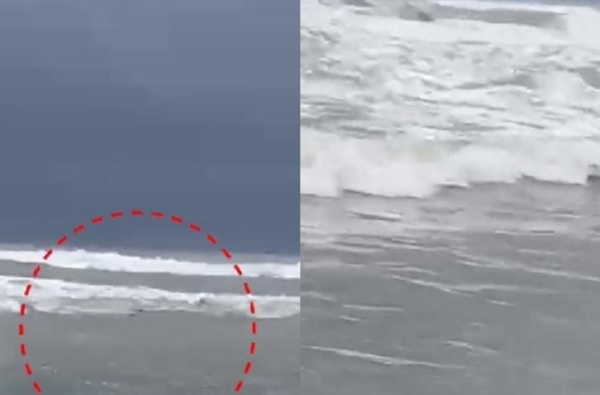  പയ്യാമ്പലം ബീച്ചിൽ അജ്ഞാത മൃതദേഹം കണ്ടെത്തി; ഇന്നലെ വൈകിട്ട് 7 മണിയോടെയാണ് സംഭവം