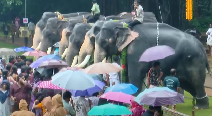  തൃശൂർ വടക്കുംനാഥ ക്ഷേത്രത്തിലെ ആനയൂട്ട് ഇന്ന്; 65ൽ അധികം ആനകൾ ആനയൂട്ടിന്റെ ഭാഗമാകും