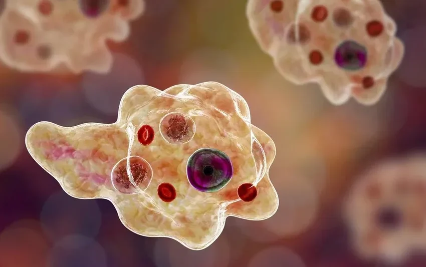  സംസ്ഥാനത്ത് ഒരാൾക്ക് കൂടി അമീബിക് മസ്തിഷ്ക ജ്വരം സ്ഥിരീകരിച്ചു