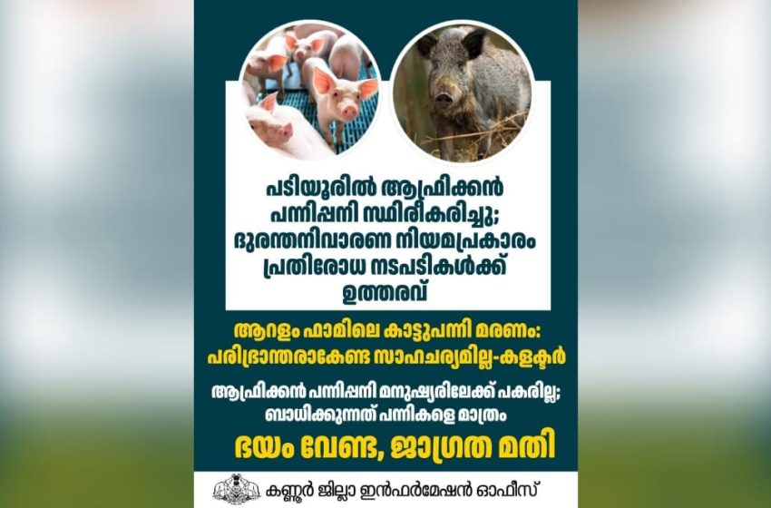  പടിയൂരിൽ ആഫ്രിക്കൻ പന്നിപ്പനി സ്ഥിരീകരിച്ചു; പ്രതിരോധ നടപടികൾക്ക് ഉത്തരവ്