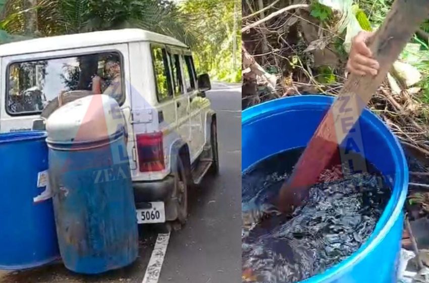  പയ്യന്നൂരിൽ എക്സൈസിന്റെ വൻ വാഷ് വേട്ട; ഉടമസ്ഥനില്ലാത്ത നിലയിൽ 400 ലിറ്റർ വാഷ് കണ്ടെത്തി