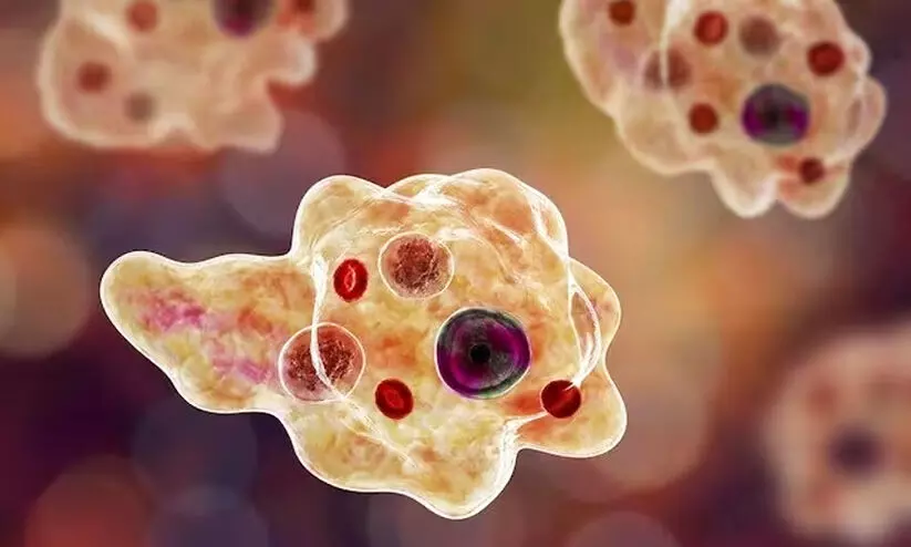  സംസ്ഥാനത്ത് വീണ്ടും ഒരാൾക്ക് കൂടി അമീബിക് മസ്തിഷ്കജ്വരം സ്ഥിരീകരിച്ചു