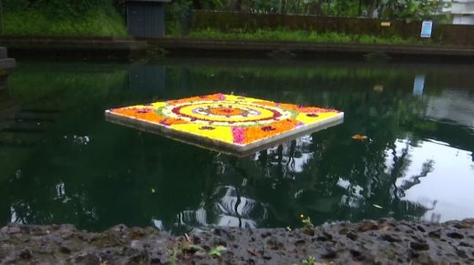  ഓണാഘോഷം ഓരോയിടത്ത് ഓരോ തരം; കണ്ണൂര്‍ പള്ളിക്കുന്നില്‍ കുളത്തിലൊരു പൂക്കളമൊരുങ്ങി