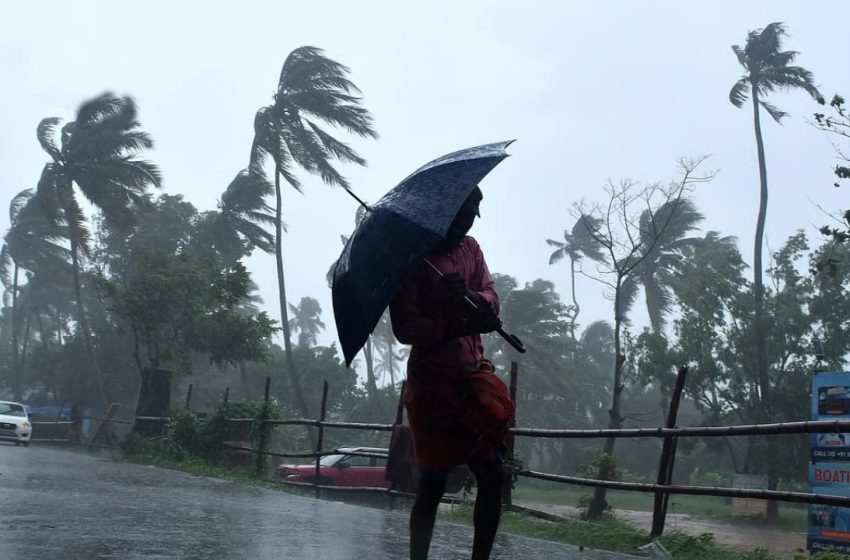  സംസ്ഥാനത്ത് ഇന്നും പരക്കെ ശക്തമായ മഴയ്ക്ക് സാധ്യത
