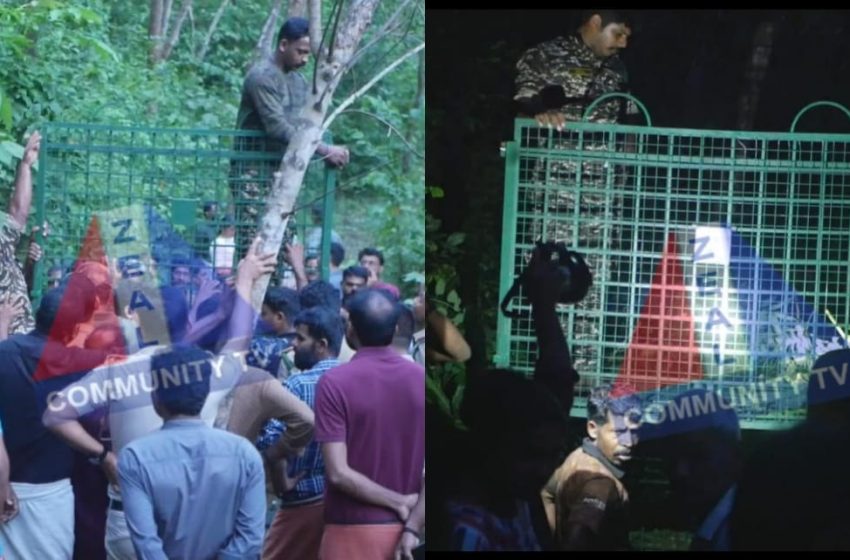  പേരാവൂർ തോലമ്പ്ര താറ്റിയാട് പുലിയെ പിടികൂടാൻ വനം വകുപ്പ് കൂട് സ്ഥാപിച്ചു