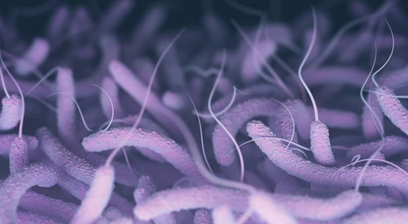  സംസ്ഥാനത്ത് ആശങ്കയായി കോളറയും; എറണാകുളം കാക്കനാട് സ്വദേശിക്ക് രോഗം സ്ഥിരീകരിച്ചു