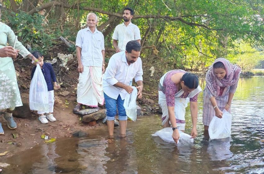  സംയോജിത മത്സ്യ വിഭവ പരിപാലനം പദ്ധതി; രണ്ട് ലക്ഷം കാർപ്പ് മത്സ്യക്കുഞ്ഞുങ്ങളെ കുപ്പം പുഴയിലെ കടവിൽ നിക്ഷേപിച്ചു