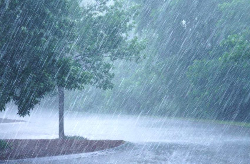 സംസ്ഥാനത്ത് മഴ ശക്തമാകുന്നു; നാല് ജില്ലകളിൽ മഞ്ഞ അലർട്ട്