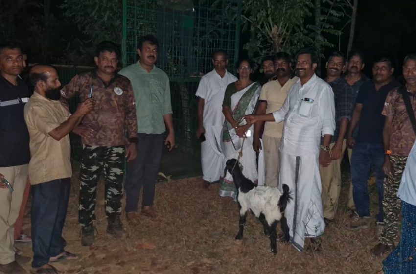  കേളകം ജനവാസ കേന്ദ്രത്തിലിറങ്ങിയ പുലിയെ പിടികൂടുന്നതിനായി വനംവകുപ്പ് കൂട് സ്ഥാപിച്ചു