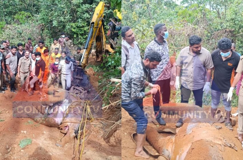  ചെറുപുഴ തിരുനെറ്റിക്കല്ല് കിണറ്റിൽ വീണ് മരണപ്പെട്ട ആനക്കുട്ടിയെ പോസ്റ്റുമോർട്ടം നടത്തി ജഢം യഥാവിധി മറവു ചെയ്തു