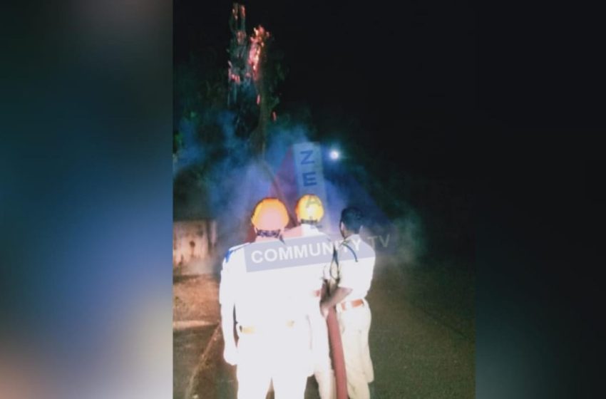  ചെമ്പന്തൊട്ടി ടൗണില്‍ ആല്‍മരത്തിന് തീപിടിച്ചു