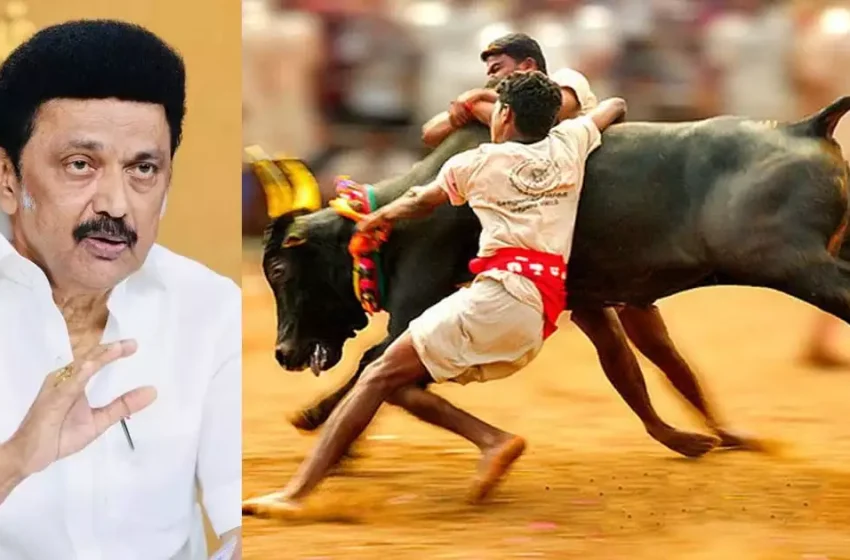  ജെല്ലിക്കെട്ടിൽ വിജയിക്കുന്നവർക്ക് സർക്കാർ ജോലി നൽകുമെന്ന് തമിഴ്‌നാട് മുഖ്യമന്ത്രി എം കെ സ്റ്റാലിൻ