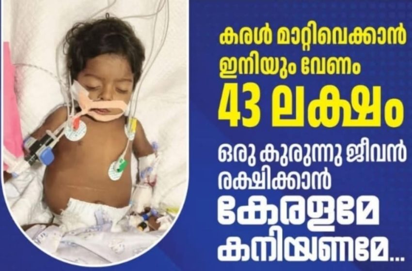  കരൾമാറ്റ ശസ്ത്രക്രിയക്കായി പിഞ്ചുകുഞ്ഞ് ചികിത്സാസഹായം തേടുന്നു
