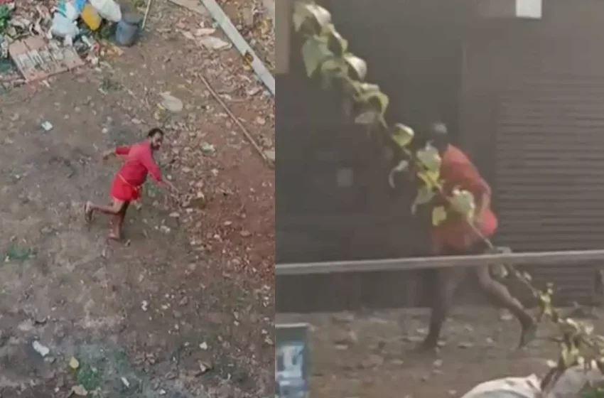  കോഴിക്കോട് മുക്കത്ത് മദ്യലഹരിയിൽ യുവാവിന്റെ പരാക്രമം; സ്റ്റുഡിയോയും ബ്യുട്ടി പാർലറും എറിഞ്ഞു തകർത്തു