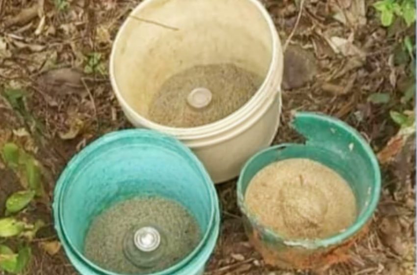  പന്ന്യന്നൂരിൽ സ്‌റ്റീൽ ബോംബുകൾ കണ്ടെത്തി