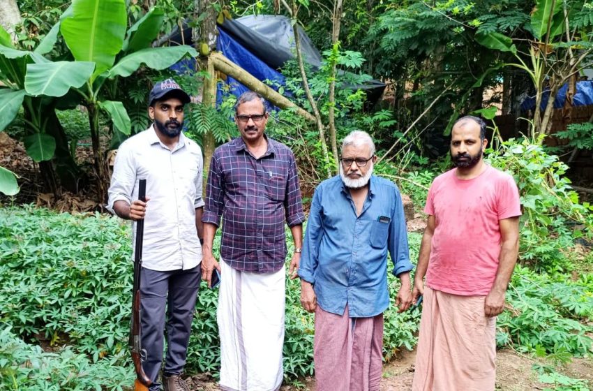  കാട്ടുപന്നിയെവെടിവച്ചുകൊന്നു.