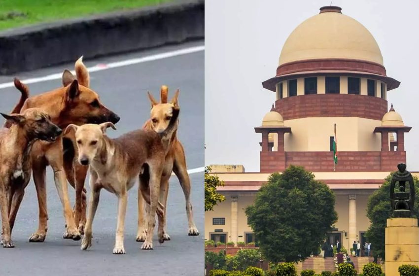  അപകടകാരികളായ നായകളെ കൊല്ലാൻ സുപ്രിംകോടതിയുടെ അനുമതി