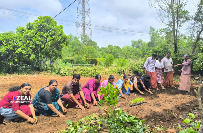  ഓണത്തിനൊരു കൊട്ടപ്പൂവ്