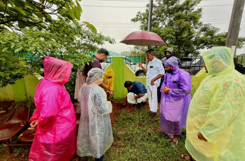  ഡിവൈ എഫ് ഐ പരിസ്ഥിതി ദിനാചരണം നടത്തി
