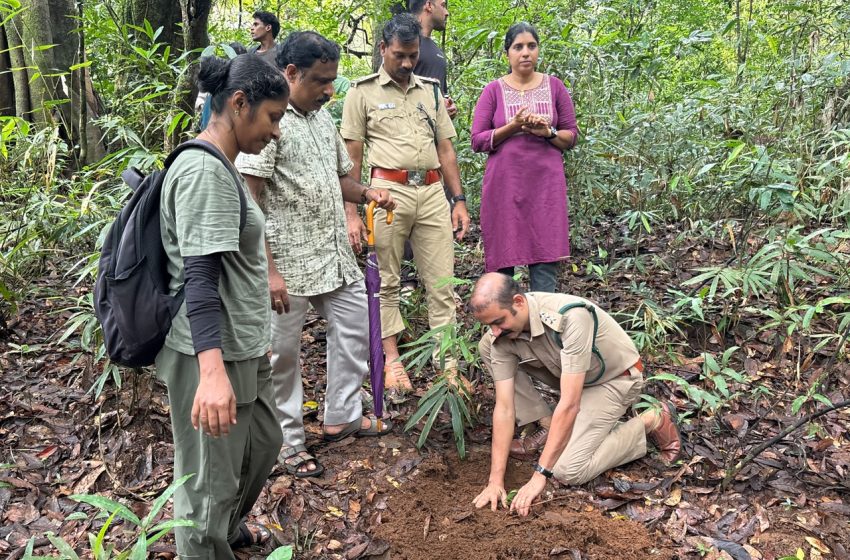  പരിസ്ഥിതി ദിനാചരണത്തിന്റെ ഭാഗമായി ജൈവ വൈവിധ്യ പഠനവും വൃക്ഷത്തൈ നടലും സംഘടിപ്പിച്ചു