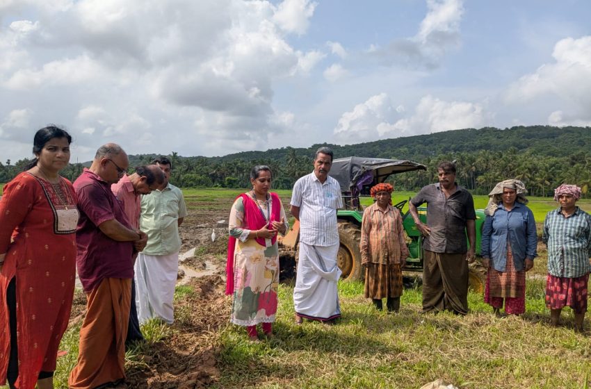  തരിശ്ശ് നെൽകൃഷി നടീൽ ഉദ്ഘാടനം