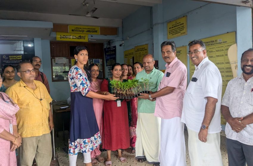  ഓണത്തിന് ഒരു കൊട്ട പൂവ് – ചെണ്ടുമല്ലി തൈ വിതരണ ഉദ്ഘാടനം 