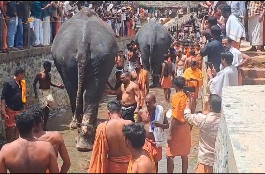  അക്കരെ കൊട്ടിയൂർ ക്ഷേത്രത്തിൽ നിന്നും ഉച്ച ശീവേലിക്ക് ശേഷം സ്‌ത്രീകളും ഗജവീരൻമാരുംവിശേഷ വാദ്യങ്ങളും  അക്കരെ സന്നിധാനത്തു നിന്ന് മടങ്ങി