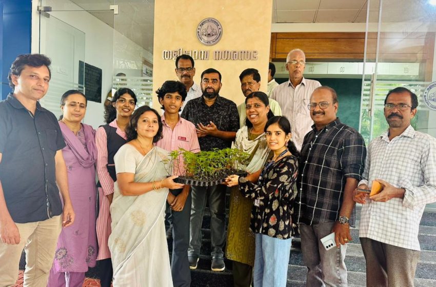  “ഓണത്തിന് ഒരു കൊട്ടപ്പൂവ്”‌ തളിപ്പറമ്പ നഗരസഭ  ചെണ്ട് മല്ലിത്തൈകൾ വിതരണം ചെയ്തു