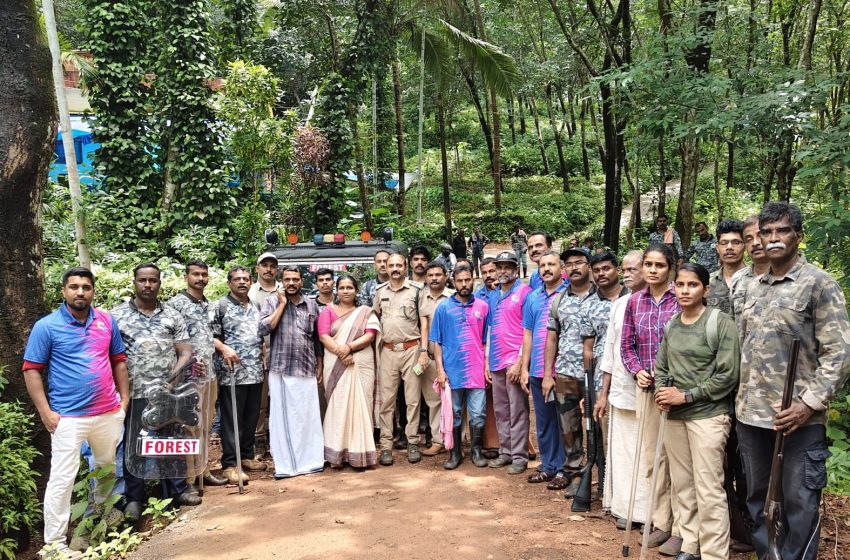  ഒളിച്ചു കളിക്കുന്ന പുലിയെ കണ്ടെത്താൻ തെരച്ചിൽ ഊർജ്ജിതം