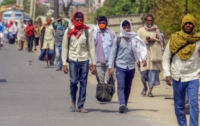  അതിഥി തൊഴിലാളി രജിസ്‌ട്രേഷന്‍; മത്സ്യബന്ധന തുറമുഖങ്ങളില്‍ സ്‌പെഷ്യല്‍ ഡ്രൈവ് നടത്തും