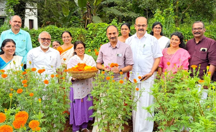  ‘ഓണത്തിന് ഒരു കൊട്ടപ്പൂവ്’ വിളവെടുത്തു
