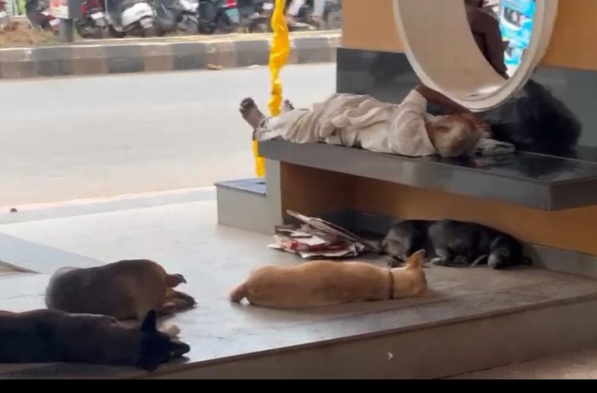  ആർക്കുവേണ്ടി ഈ ബസ് കാത്തിരിപ്പ് കേന്ദ്രം
